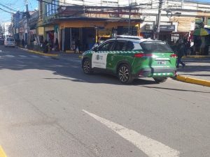 Fiscalización comercio ilegal en Quillota
