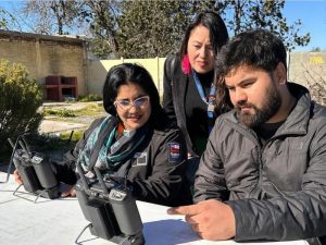 Fiscalización comercio ilegal en Quillota