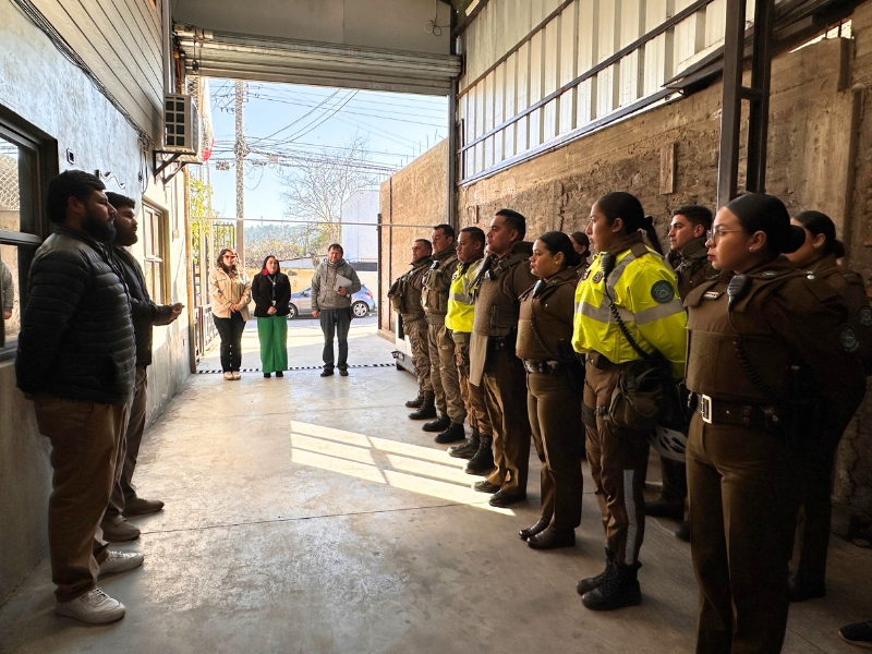 Fiscalización comercio ilegal en Quillota
