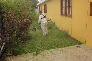 Recuperación espacio público en San Pedro