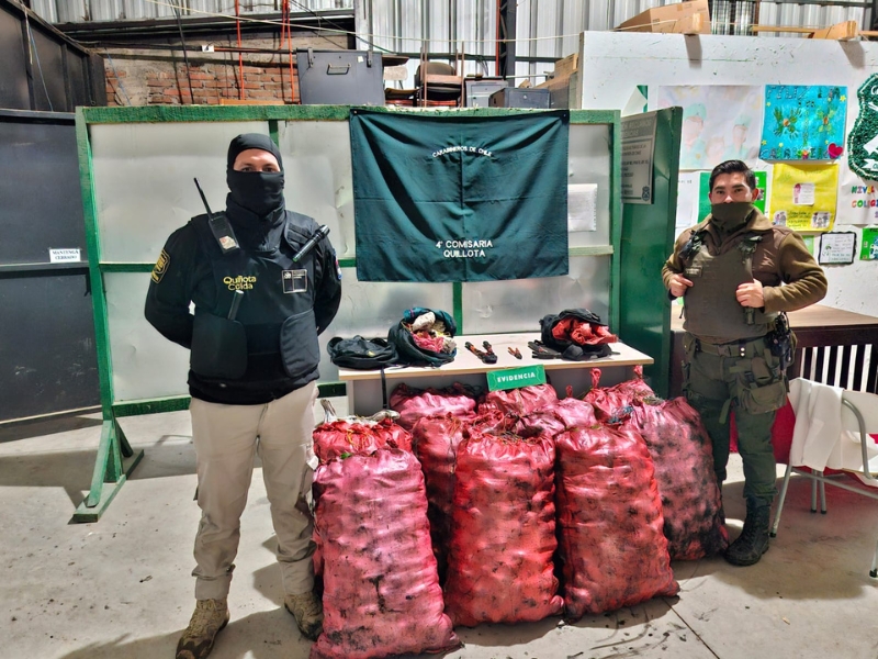 Quillota Te Cuida robo de paltas